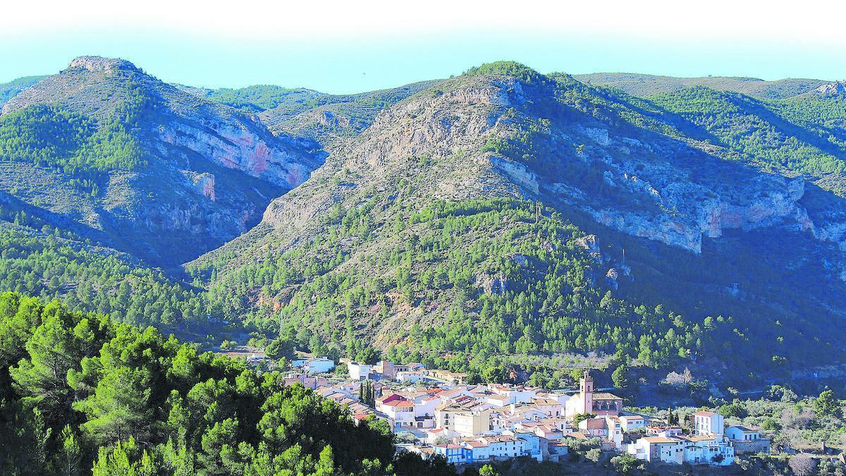 Solanar, Toga, Castelló, ,Terreno,En venta,Solanar,1031
