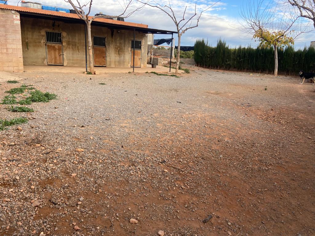 Betxí, Castelló, ,Terreno,En venta,1050