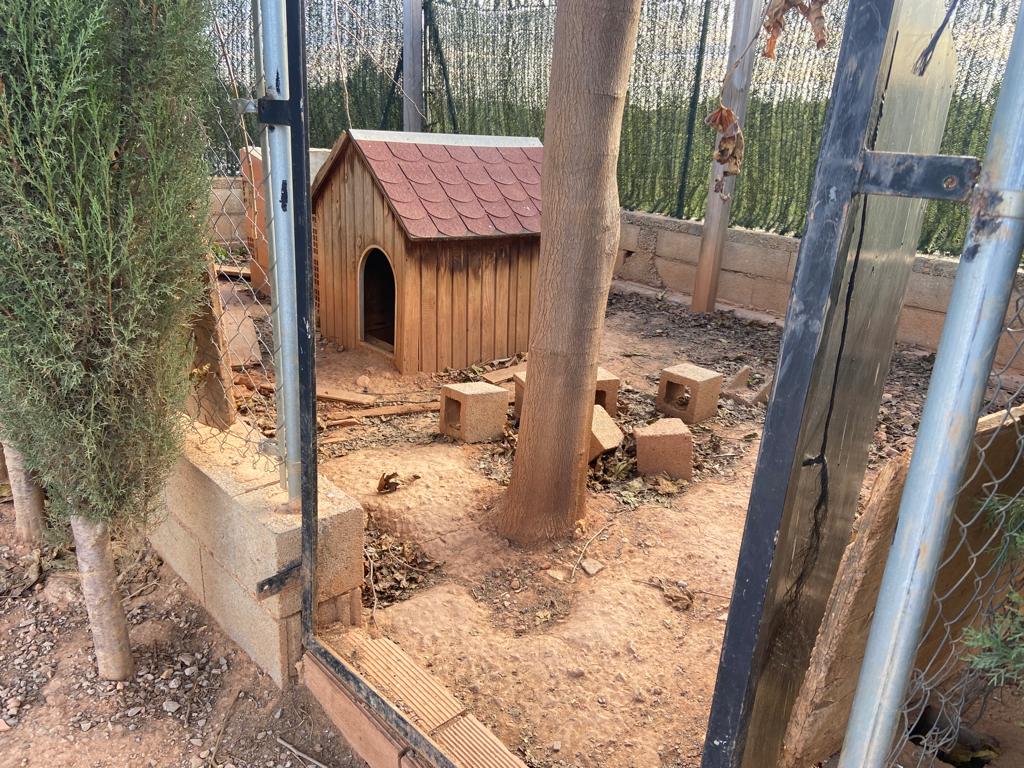 Betxí, Castelló, ,Terreno,En venta,1050
