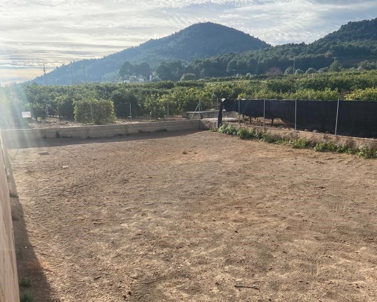 Betxí, Castelló, ,Terreno,En venta,1050
