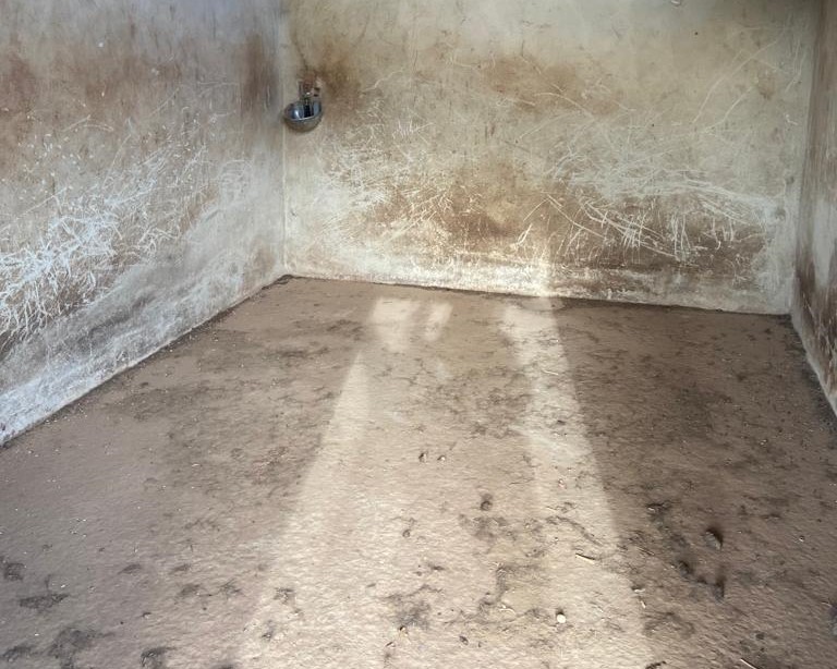 Betxí, Castelló, ,Terreno,En venta,1050
